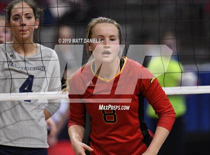 Thumbnail 3 in Palmer Ridge vs. Coronado (CHSAA 4A Playoff) photogallery.