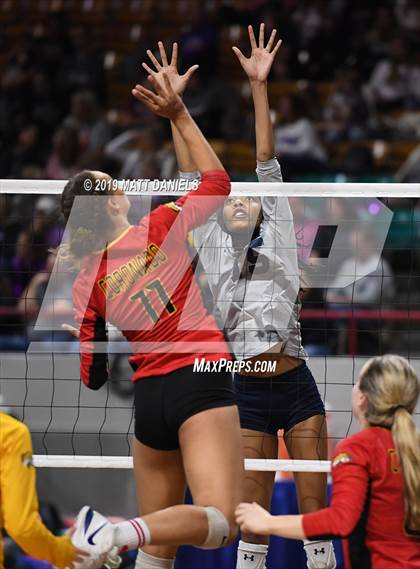 Thumbnail 2 in Palmer Ridge vs. Coronado (CHSAA 4A Playoff) photogallery.