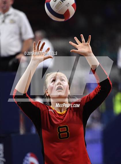 Thumbnail 2 in Palmer Ridge vs. Coronado (CHSAA 4A Playoff) photogallery.