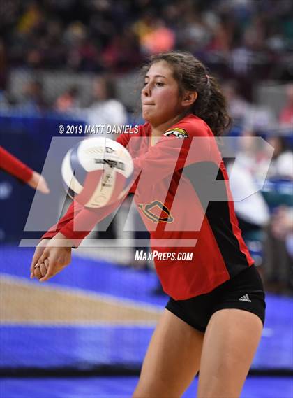 Thumbnail 2 in Palmer Ridge vs. Coronado (CHSAA 4A Playoff) photogallery.