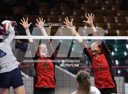 Thumbnail 3 in Palmer Ridge vs. Coronado (CHSAA 4A Playoff) photogallery.