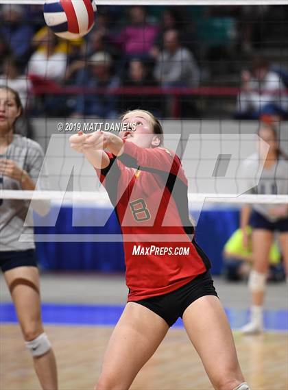 Thumbnail 1 in Palmer Ridge vs. Coronado (CHSAA 4A Playoff) photogallery.