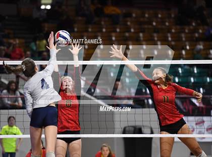 Thumbnail 3 in Palmer Ridge vs. Coronado (CHSAA 4A Playoff) photogallery.