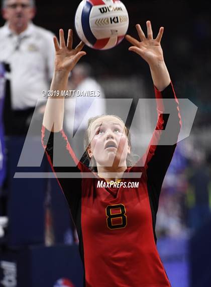 Thumbnail 3 in Palmer Ridge vs. Coronado (CHSAA 4A Playoff) photogallery.