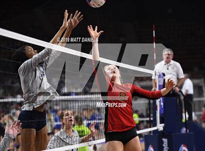 Thumbnail 3 in Palmer Ridge vs. Coronado (CHSAA 4A Playoff) photogallery.