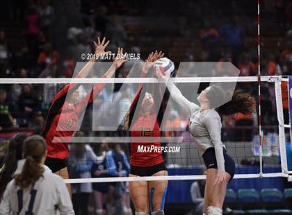 Thumbnail 2 in Palmer Ridge vs. Coronado (CHSAA 4A Playoff) photogallery.