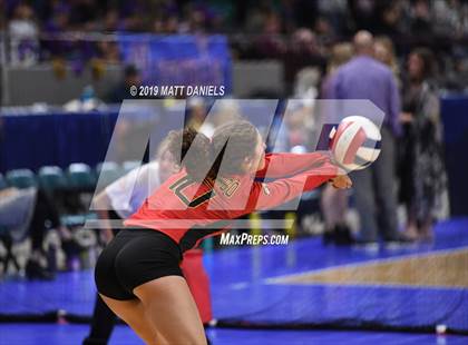 Thumbnail 2 in Palmer Ridge vs. Coronado (CHSAA 4A Playoff) photogallery.