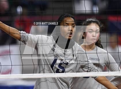 Thumbnail 2 in Palmer Ridge vs. Coronado (CHSAA 4A Playoff) photogallery.