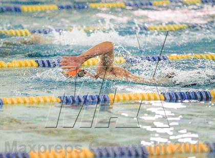 Thumbnail 2 in Jeffco League Meet photogallery.