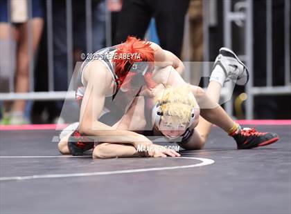 Thumbnail 1 in CHSAA State Championship Tournament (Session 3) photogallery.