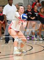 Photo from the gallery "Redwood @ Branson "