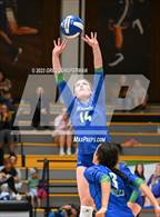 Photo from the gallery "Redwood @ Branson "
