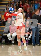 Photo from the gallery "Redwood @ Branson "