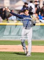 Photo from the gallery "Redwood @ Central"