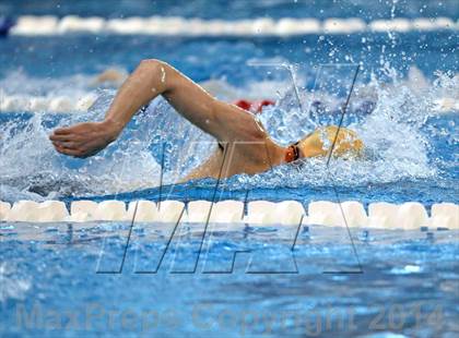 Thumbnail 2 in NCHSAA 4A Swimming Championships photogallery.