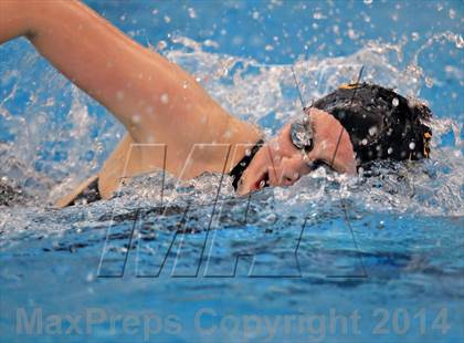 Thumbnail 2 in NCHSAA 4A Swimming Championships photogallery.