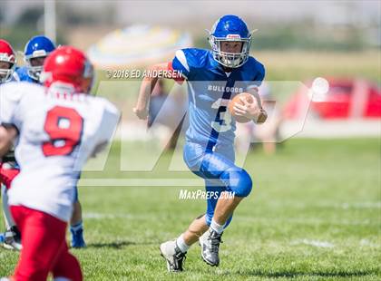 Thumbnail 2 in Carlin @ Smith Valley photogallery.