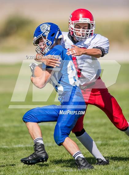 Thumbnail 3 in Carlin @ Smith Valley photogallery.