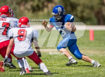 Thumbnail 2 in Carlin @ Smith Valley photogallery.