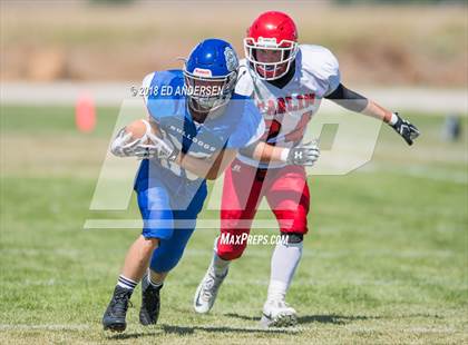 Thumbnail 2 in Carlin @ Smith Valley photogallery.