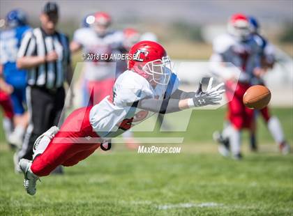 Thumbnail 3 in Carlin @ Smith Valley photogallery.