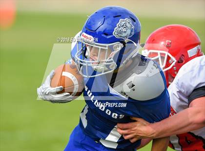 Thumbnail 3 in Carlin @ Smith Valley photogallery.