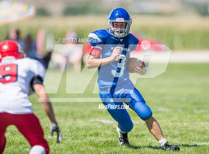 Thumbnail 3 in Carlin @ Smith Valley photogallery.