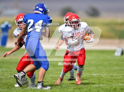 Thumbnail 3 in Carlin @ Smith Valley photogallery.