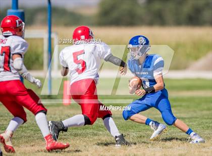 Thumbnail 1 in Carlin @ Smith Valley photogallery.