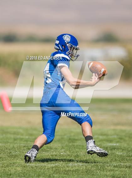 Thumbnail 3 in Carlin @ Smith Valley photogallery.
