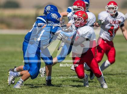 Thumbnail 2 in Carlin @ Smith Valley photogallery.