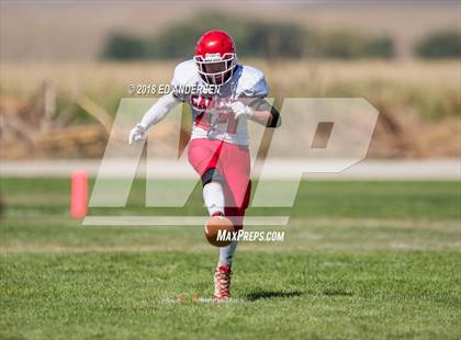 Thumbnail 3 in Carlin @ Smith Valley photogallery.