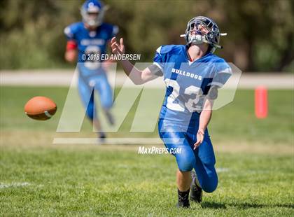 Thumbnail 2 in Carlin @ Smith Valley photogallery.