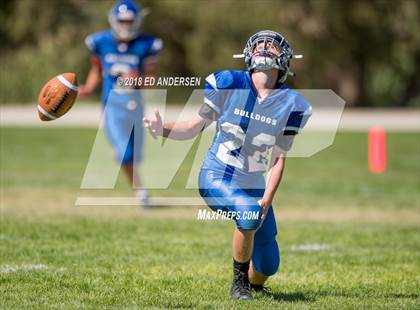 Thumbnail 1 in Carlin @ Smith Valley photogallery.