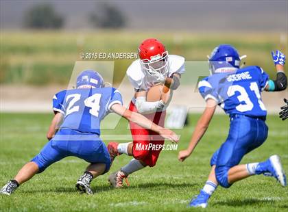 Thumbnail 1 in Carlin @ Smith Valley photogallery.