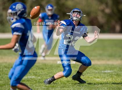 Thumbnail 2 in Carlin @ Smith Valley photogallery.