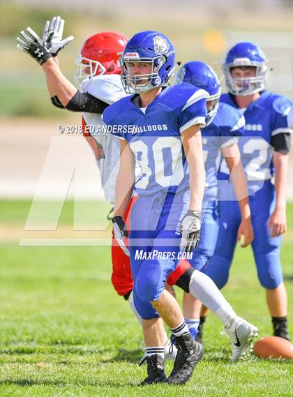 Thumbnail 3 in Carlin @ Smith Valley photogallery.