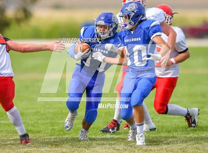 Thumbnail 1 in Carlin @ Smith Valley photogallery.