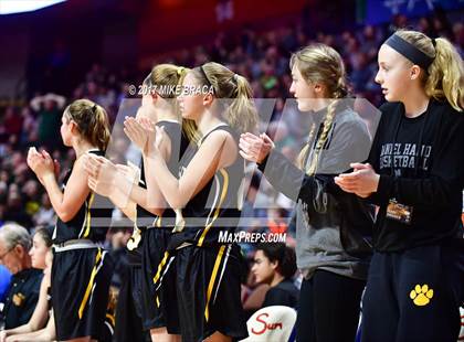 Thumbnail 3 in Holy Cross vs. Hand (CIAC Class L Final) photogallery.