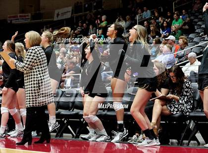 Thumbnail 2 in Amarillo vs. Cedar Park  photogallery.