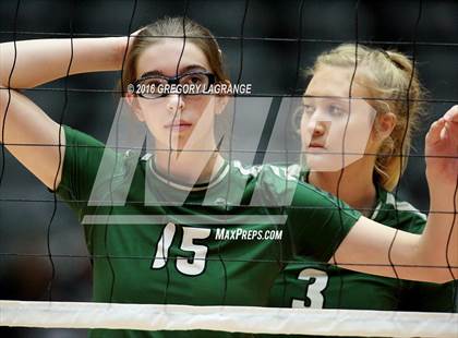 Thumbnail 3 in Amarillo vs. Cedar Park  photogallery.