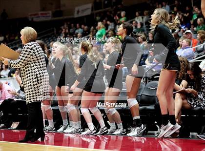 Thumbnail 1 in Amarillo vs. Cedar Park  photogallery.