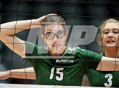 Thumbnail 1 in Amarillo vs. Cedar Park  photogallery.