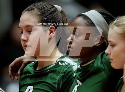 Thumbnail 1 in Amarillo vs. Cedar Park  photogallery.