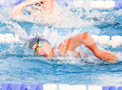 Thumbnail 3 in AIA State Finals D2 photogallery.