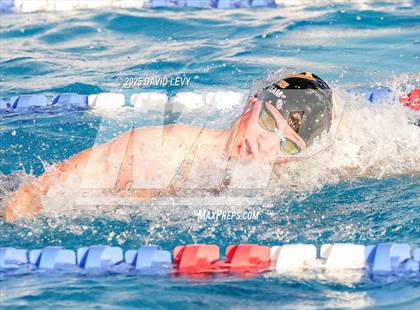 Thumbnail 3 in AIA State Finals D2 photogallery.