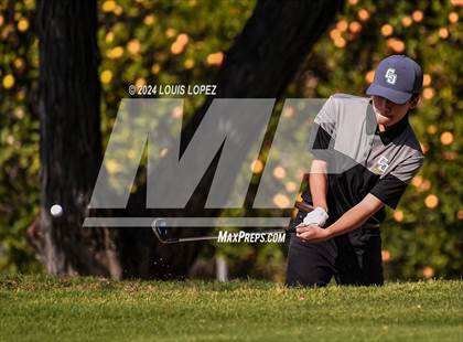 Thumbnail 2 in Charter Oak @ South Hills photogallery.