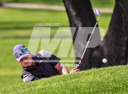 Thumbnail 2 in Charter Oak @ South Hills photogallery.
