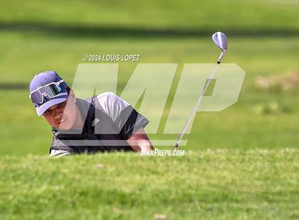 Thumbnail 3 in Charter Oak @ South Hills photogallery.