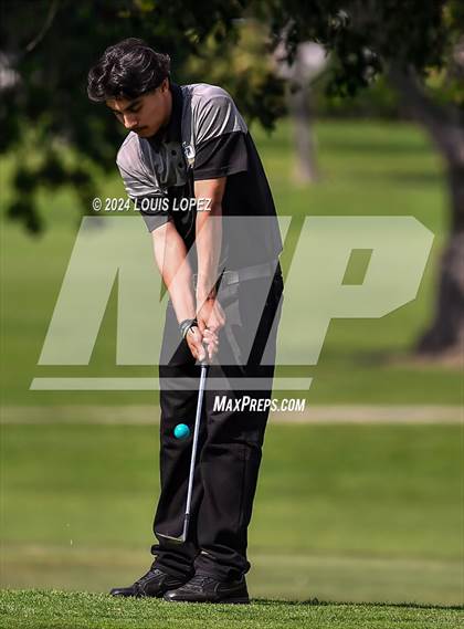 Thumbnail 3 in Charter Oak @ South Hills photogallery.